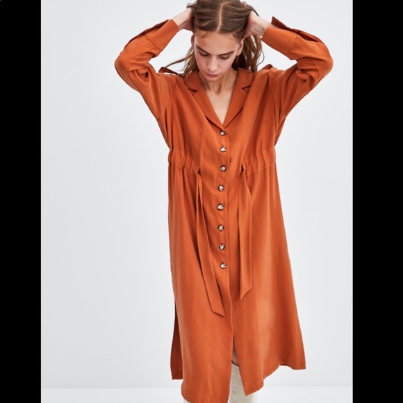 Zara Dress - Picture 3 of 12